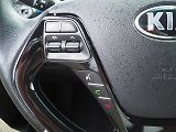 Kia Ceed (2018) 1.6 CRDi, 100 kW, 1. Maj ČR - náhled 24