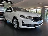 Škoda Octavia (2024) Combi Selection 2.0 TDI (110kW - náhled 27