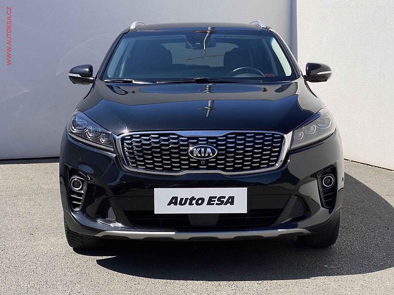 Kia Sorento (2018) 2.2 CRDi 4x4, Platinum, AT - fotka 2 z 22