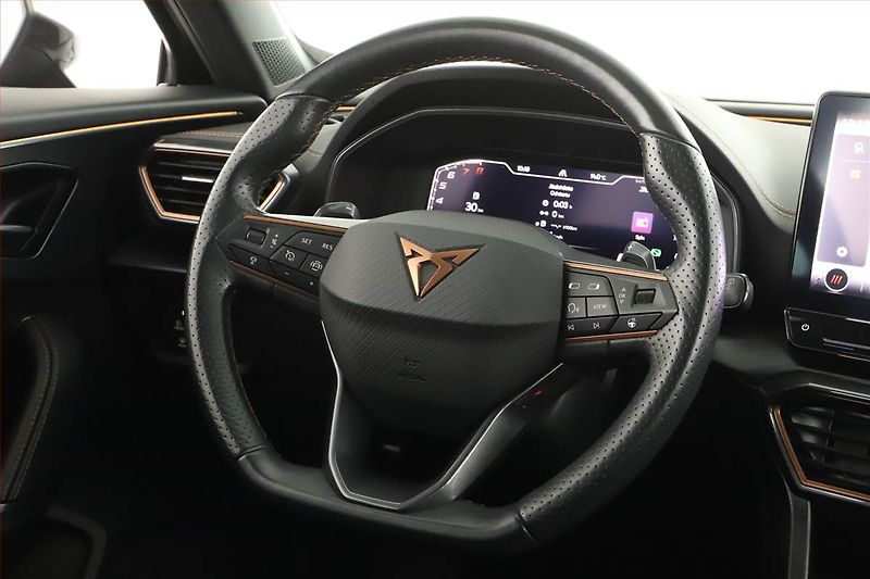 Cupra Formentor (2024) Performance 2.0 TSI 4Drive - fotka 8 z 16