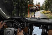 Volvo S90.