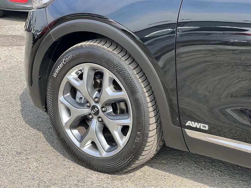 Kia Sorento 2.2CRDi REBEL 4x4 KŮŽE 7MÍST - fotka 49 z 52