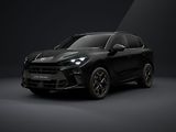 Cupra Terramar (2026) 2.0TSI 150kW DSG 4WD - náhled 1