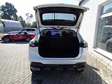 MG HS (2024) 1,5 Emotion, 125 kW, 7AT - náhled 7