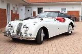 Jaguar XK (1954) 140 OTS - náhled 1