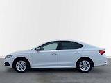 Škoda Octavia (2022) Ambition 2.0 TDI - náhled 19