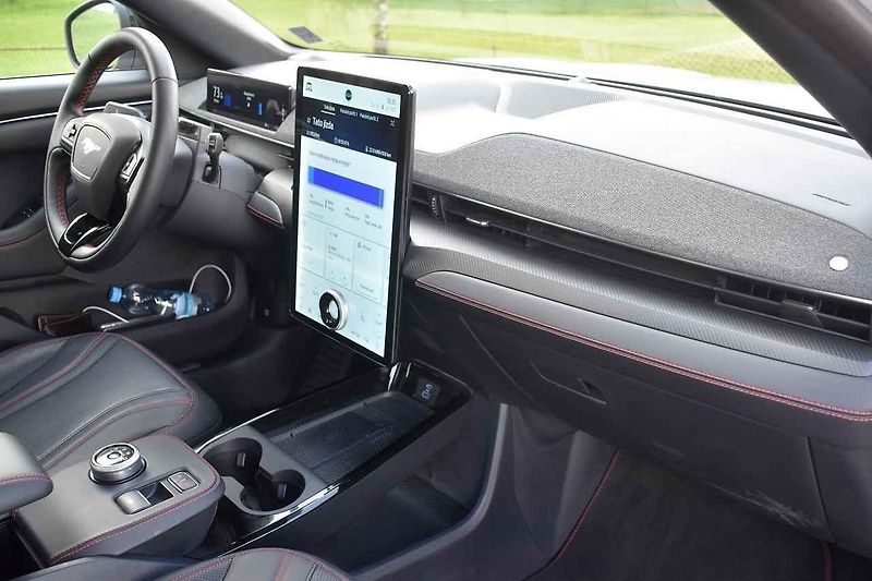 Mustang jsme ukázali i koním chovaným na farmě