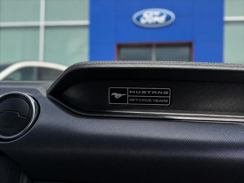 Ford Mustang 5,0 GT V8 330kW 55YearsEdition - fotka 33 z 36