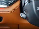 BMW X7 (2022) M50i - náhled 30