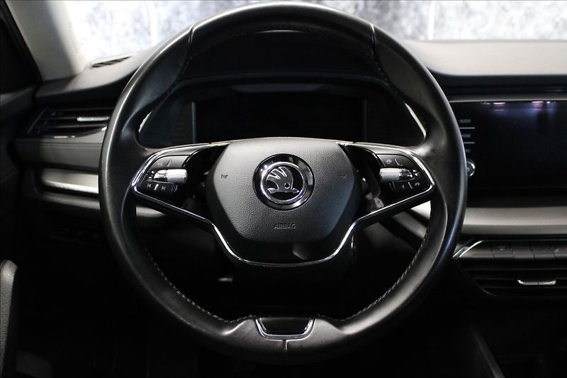 Škoda Octavia 2,0 TDI Ambition 1.majitel CZ - fotka 19 z 35
