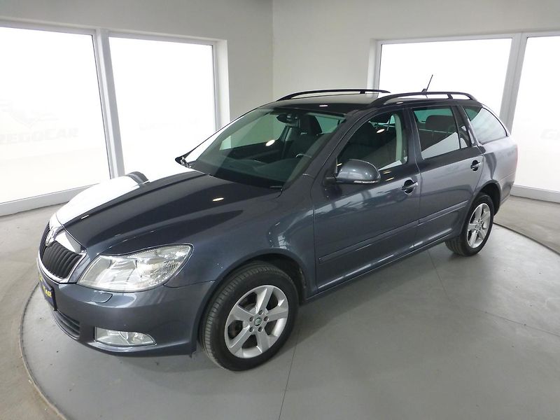 Škoda Octavia (2012) 2,0TDI*VYHŘ.S*NAVIG**XENON*4X4 - fotografie inzerátu