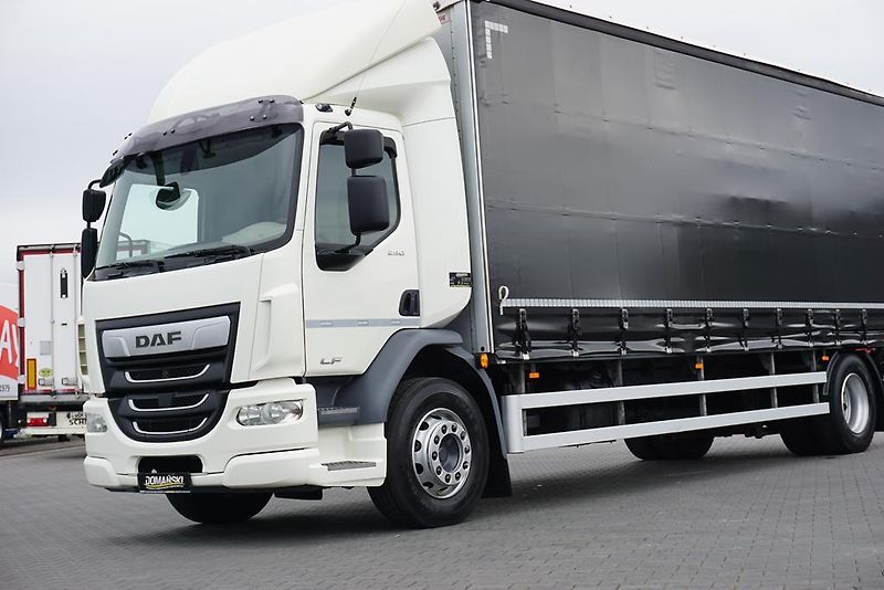 DAF LF (2019) 290 / E 6 / FIRANKA + WINDA /  - fotka 22 z 44