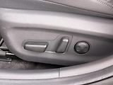 Hyundai Ioniq 100kW 38kWh Premium Tepelko TZ - náhled 3