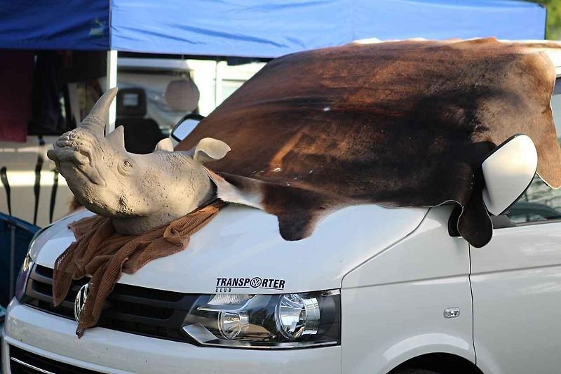 VW Transporter sraz u Lipna