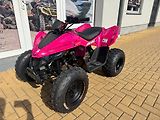 Linhai (2026) ATV 110 - náhled 1