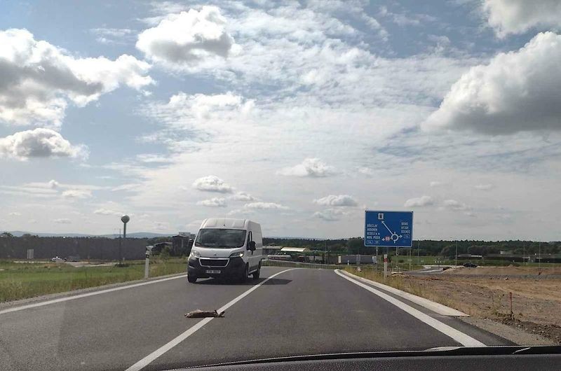 Sedm kilometrů nové dálnice D55 nahradí přetíženou I/55.