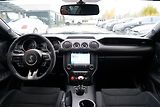 Ford Mustang (2018) Shelby GT350 5.2 Recaro,533 PS - náhled 26