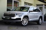 Škoda Kodiaq 2.0TDi DSG TAŽNÉ ČR 1.MAJ ACC - náhled 1