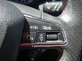 Seat Leon (2017) 1.8 TSi, 1.maj,ČR, AC, kůže - náhled 14