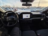 Ford F-150 (2025) 2025 F150 Regular 5,0 V8 - náhled 7