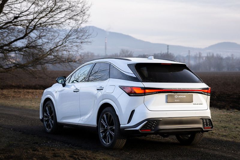 Lexus RX 450h plus 450h+ 2,5 PHEV F SPORT DESIGN - fotka 6 z 30