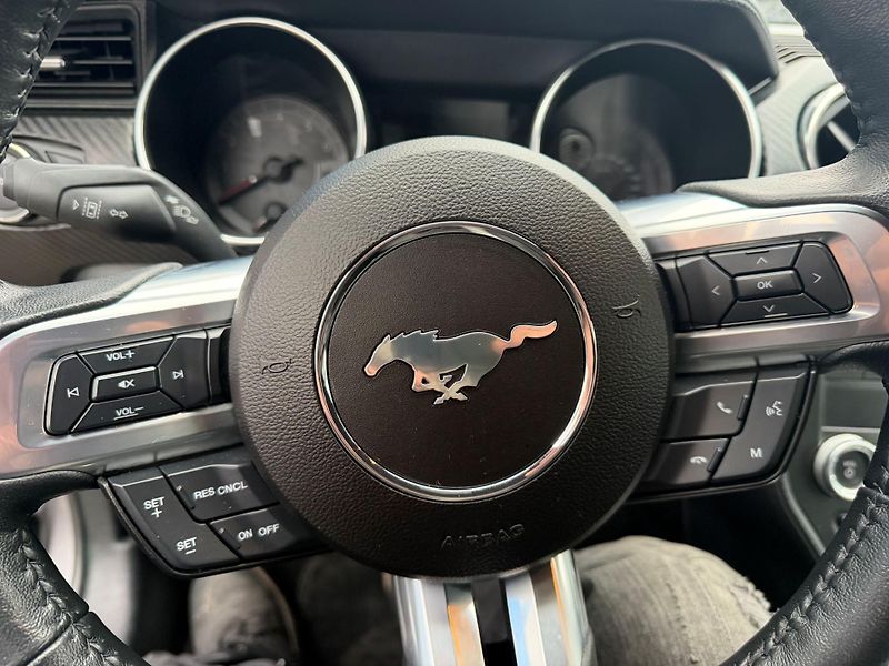 Ford Mustang (2021) 2.3 EcoBoost Manuál BMPR 2021  - fotka 20 z 25