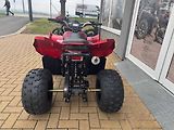 Linhai (2026) ATV 110 - náhled 3