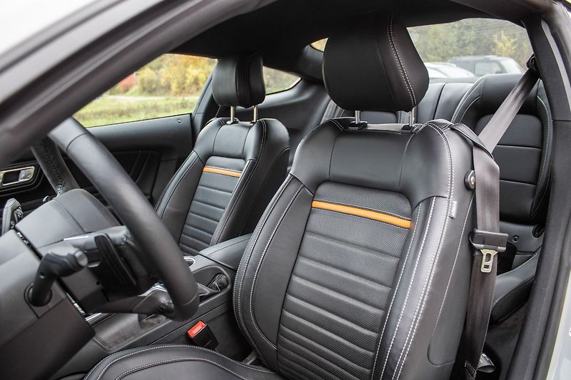 Ford Mustang - fotka 21 z 45