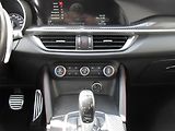 Alfa Romeo Stelvio 2,9 Bi-Turbo V6 Quadrifoglio - náhled 23