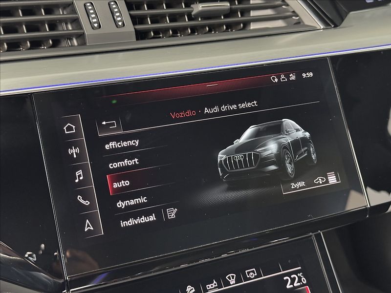 Audi e-tron 55  300kW Sportback S-Line LED - fotka 32 z 46
