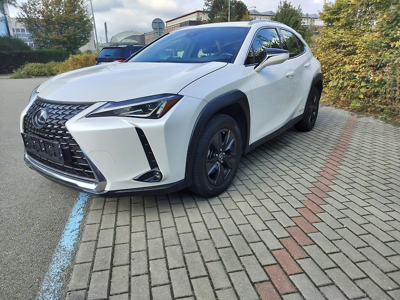 Lexus UX 250h black-white edition, kůže - fotka 3 z 25