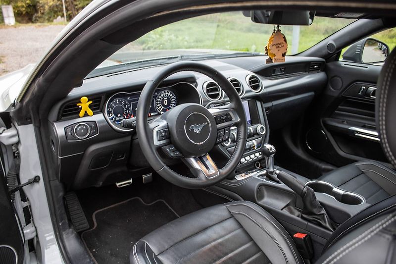 Ford Mustang - fotka 19 z 45