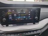 Škoda Octavia (2020) 2.0 TDI,CR,1 maj,nehav - náhled 22