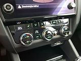 Škoda Octavia (2020) Style 2.0 TDI, Automat, Navi - náhled 16