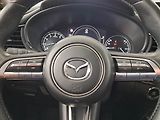 Mazda CX-30 (2023) GT 180 Plus Skyactiv-X 2.0 - náhled 19