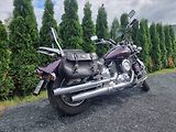 Yamaha XVS 1100 DragStar (2001) - náhled 2
