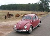 Volkswagen vyráběl ikonický model Brouk v Brazílii i poté, co jeho výroba v Evropě skončila.