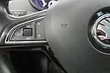Škoda Octavia - náhled 14