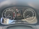 Škoda Fabia (2021) Combi 1.0 TSI Ambition - náhled 6