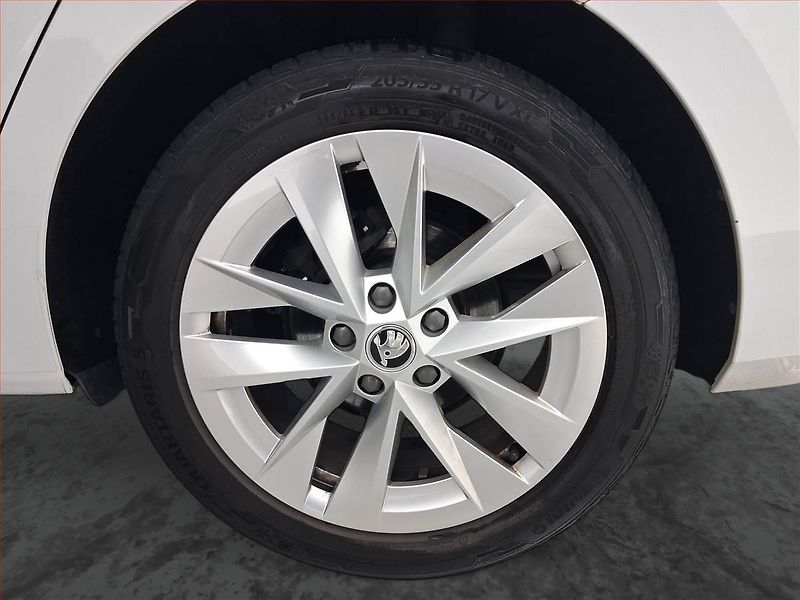 Škoda Octavia (2020) Ambition Plus 2.0 TDI, Automat - fotka 15 z 16