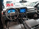 Ford F-150 (2025) 3.5 Raptor V6, FOX Racing 4x4 - náhled 20
