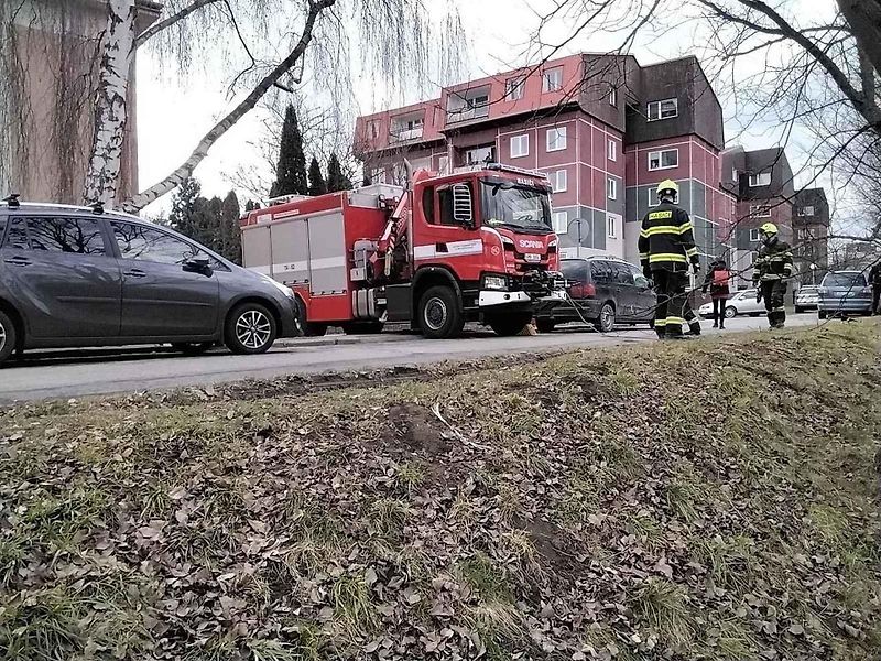 Ke kuriózní nehodě vyjížděli v sobotu přerovští profesionální hasiči. Auto skončilo v městském rybníce.