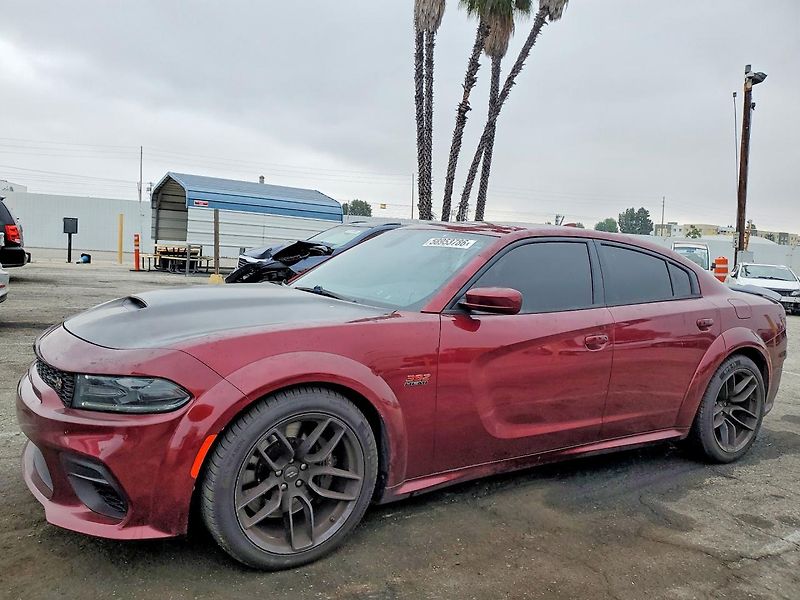 Dodge Charger (2021) Auto na cestě - fotka 1 z 12