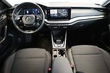 Škoda Octavia (2023) 2.0 DSG LED ACC VIRTUAL TDI - náhled 12