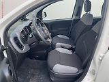 Fiat Panda (2021) 0.9 Twinair CNG, STK4/28 - náhled 9