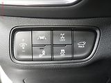 Hyundai Santa Fe (2020) 2.2 CRDi 4x4, 1.maj,ČR - náhled 22