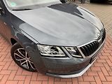 Škoda Octavia (2020) 2.0TDi DSG LED Navi Kamera - náhled 37