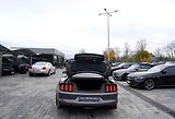 Ford Mustang (2018) Shelby GT350 5.2 Recaro,533 PS - náhled 14