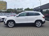 Škoda Karoq 2.0 TDI/140kW Style DSG 4x4 - náhled 8