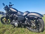 Harley-Davidson XL 883N Sportster Iron (2021) - náhled 11
